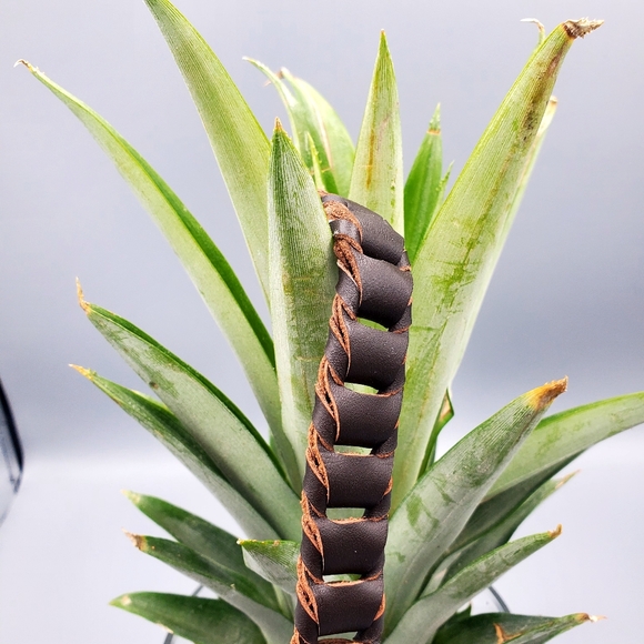 Inox 316 L Dark Brown Leather Mens Bracelet Metal Buckle - Picture 6 of 10